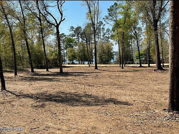 4th image of 0 Silver Lake N
