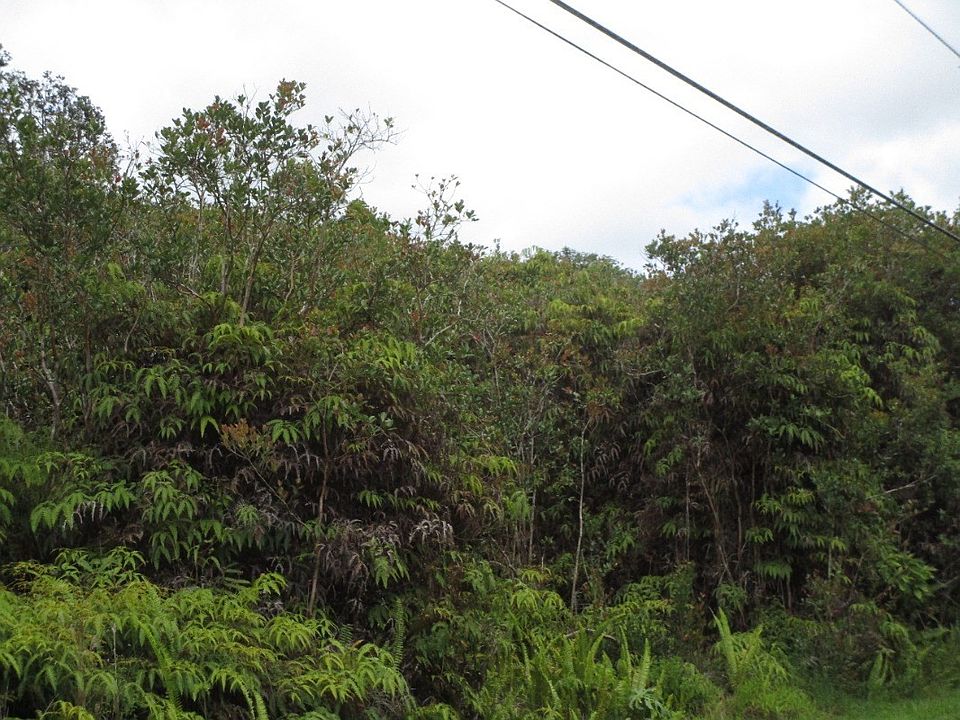 1st image of Lehua St Lot 6865