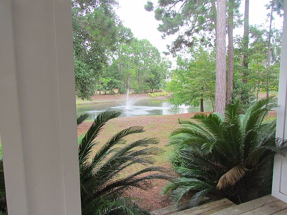 From the back porch