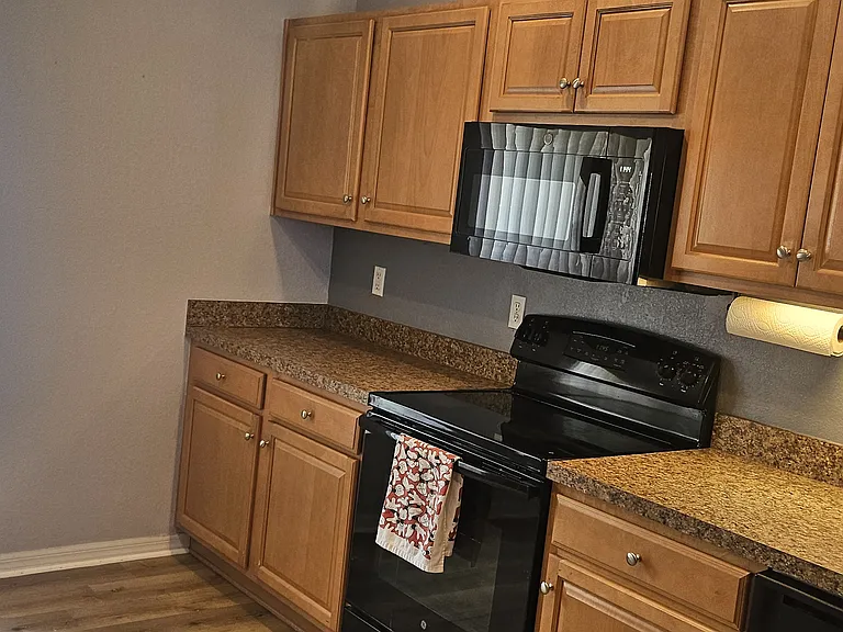 11110 Goldenrod Fern Dr — Photo 10