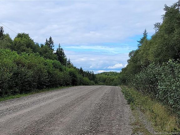 2nd image of 321 Fundy Dr