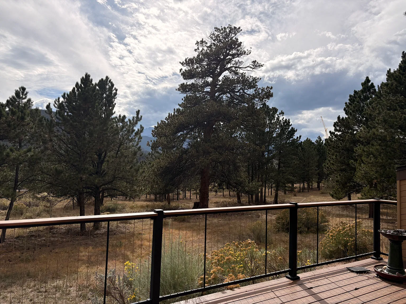 2 bed, 1340 sqft, $2,450 — Photo 4