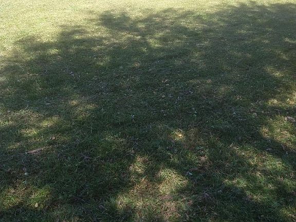 4th image of 7750 Water Park Ln