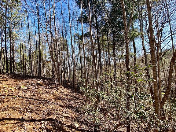 4th image of 96 Winghaven Dr Lot 42