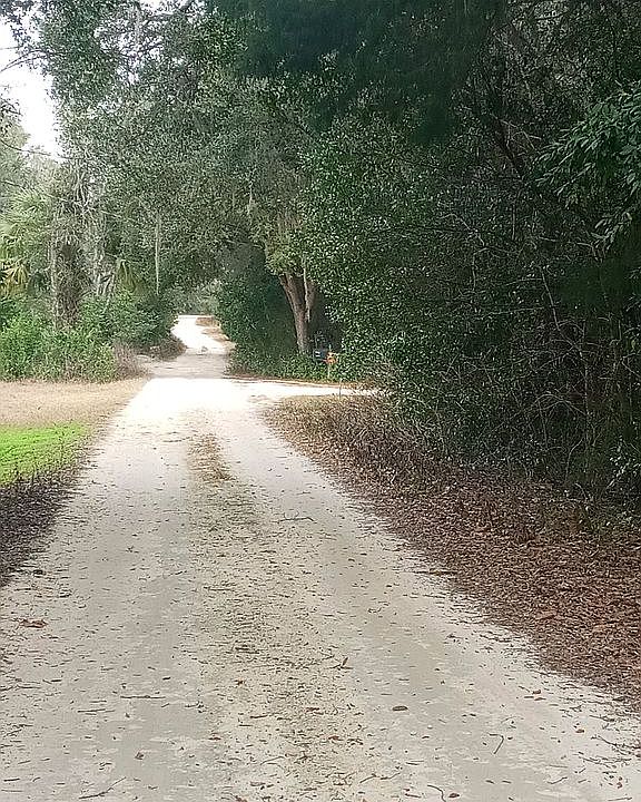 2nd image of 12313 N Elf Point
