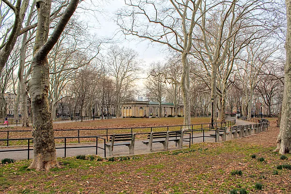 Rented by Bold New York | media 38