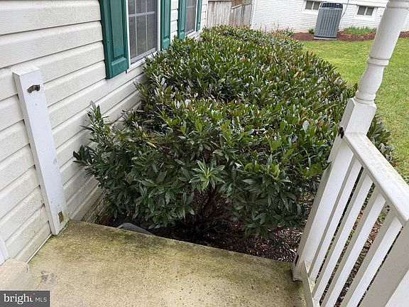 2nd image of 9605 Tellico Pl