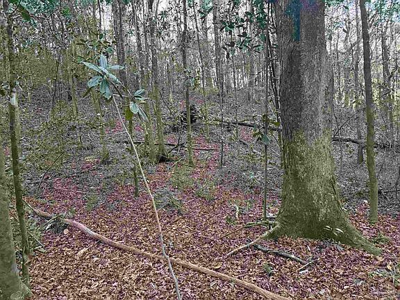 5th image of 0 Ryan Rd