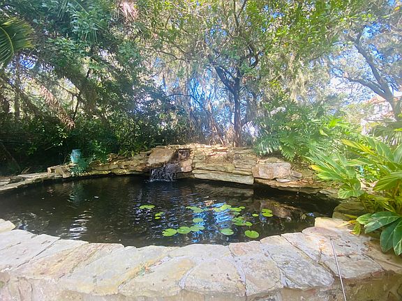Koi pond featuring waterfall and live koi (koi food provided) ...a relaxing place to sit and be entertained ... frogs on lily pads, bullfrog serenades, numerous bird sightings ... blue herons, roseate spoonbills, great egrets, pileated woodpeckers .