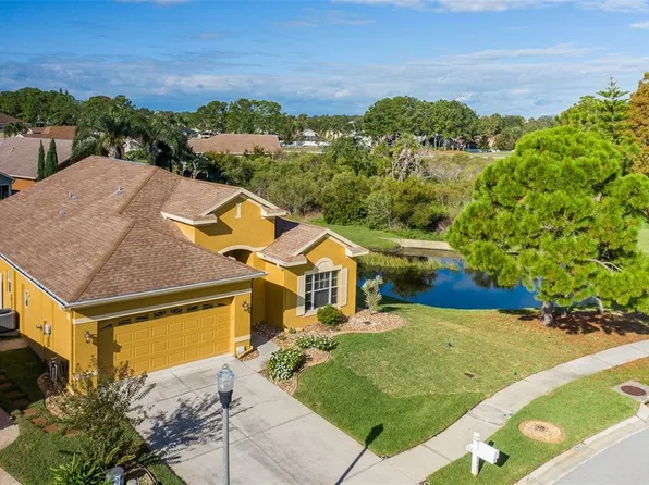 2627 Big Pine Dr, Holiday, FL 34691