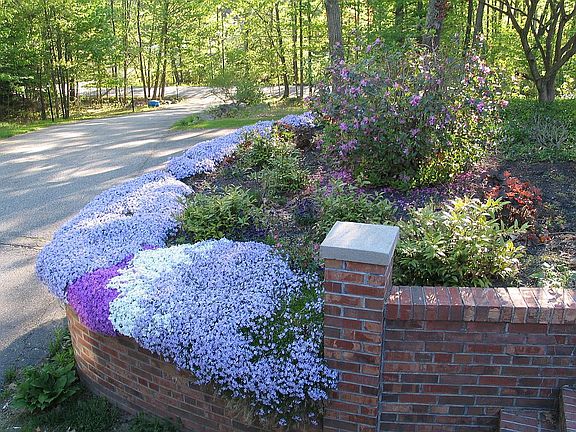 View from front door