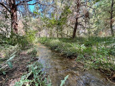 D Rd, Palisade, CO, 81526