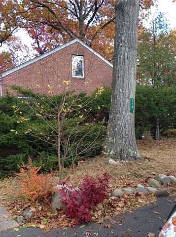2nd image of 110 Lt Cox Dr