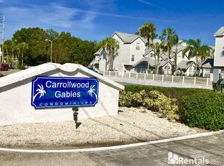 12261 Armenia Gables Cir, Tampa, FL 33612