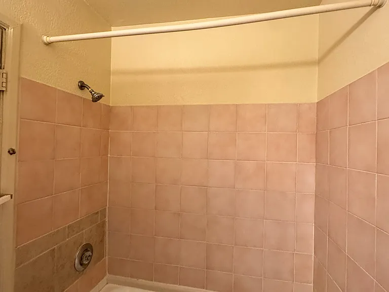 Shower and tub area