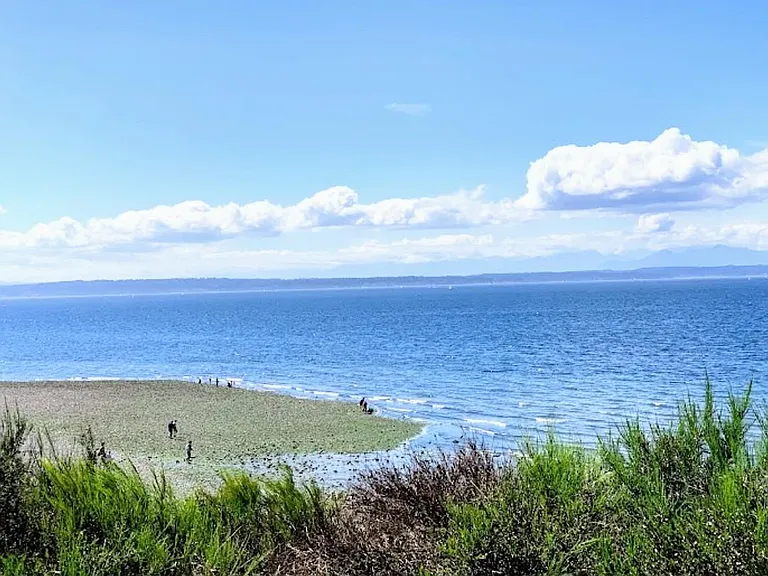 Carkeek Park