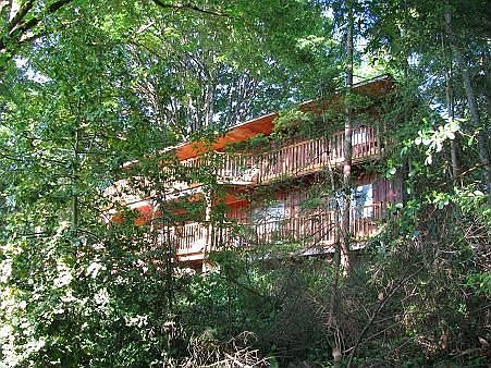 View from lower yard
