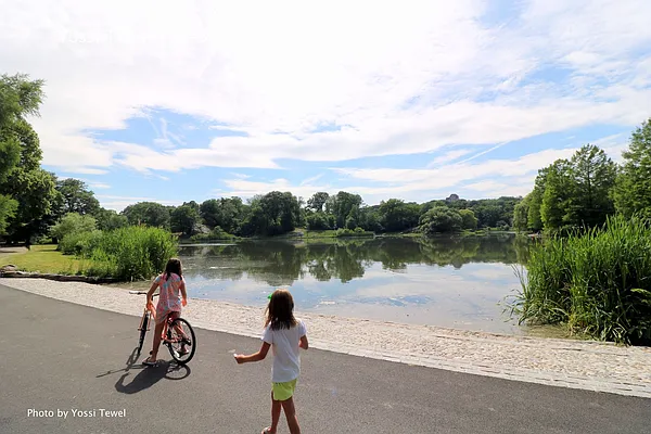 Rented by Compass | media 6