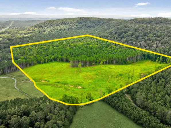 8590 State Highway 60, Georgetown, TN 37336