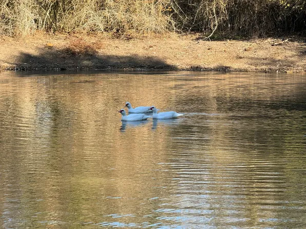 8405 Taylorsville Rd, Dale, TX 78616