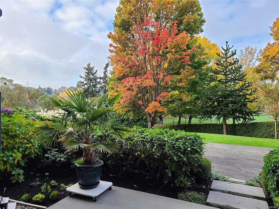 1st image of 105 Gorge Rd E #109