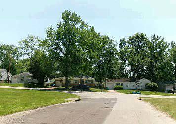 4th image of 1341 Odessa Dr