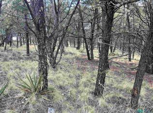 49 Eldorado Dr, Timberon, NM 88350
