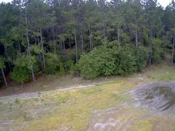 0 Beaufort Rd, Alma, GA 31510