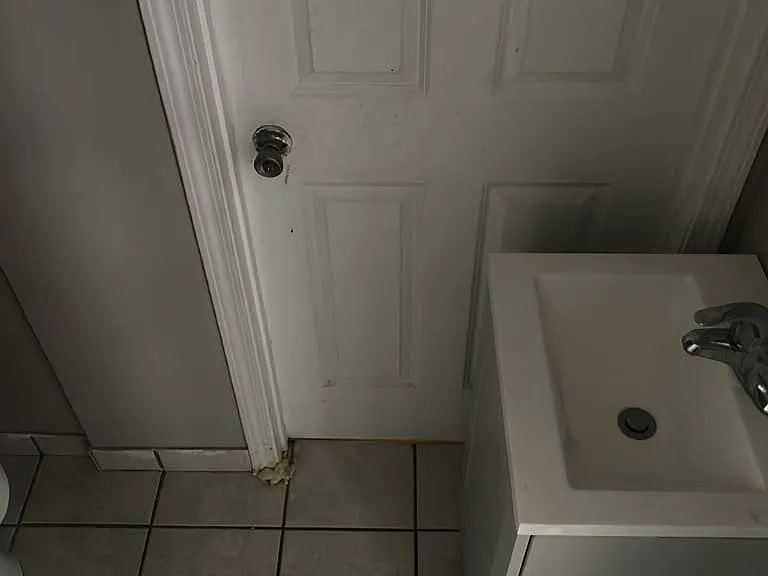 6328 N Claremont Ave #3 — Photo 10
