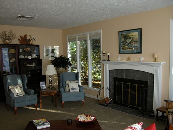 Living room fireplace