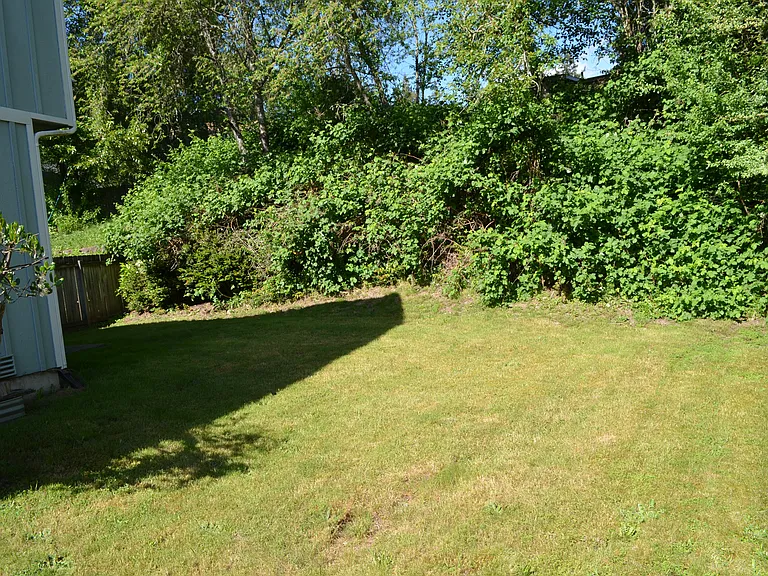 Private backyard.