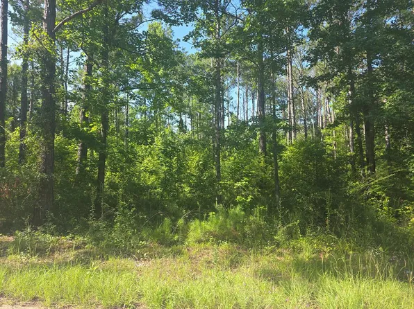 441 Winding Way Blvd, Georgetown, GA 39854