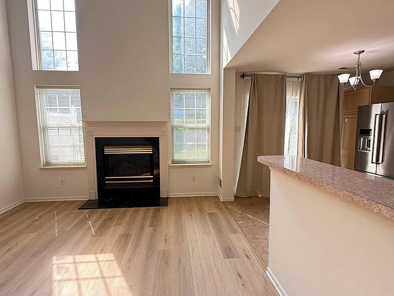 207 Valley Forge Lookout Pl — Photo 13