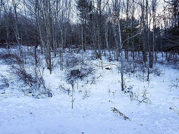 3rd image of L4511 Panarama Ln