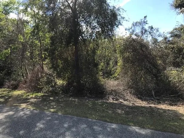 Emmaus Rd, Fruitland Park, FL 34731