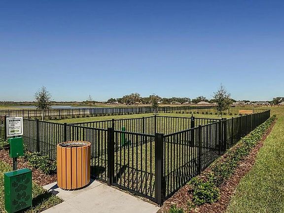 Dog Park