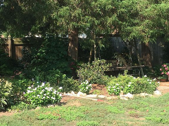 Backyard and Back Fence