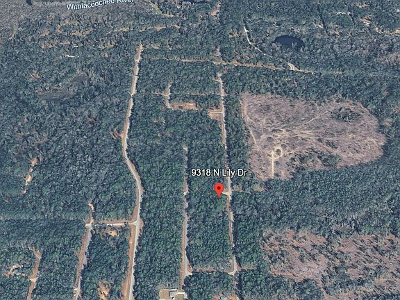 5th image of 9318 N Lily Dr
