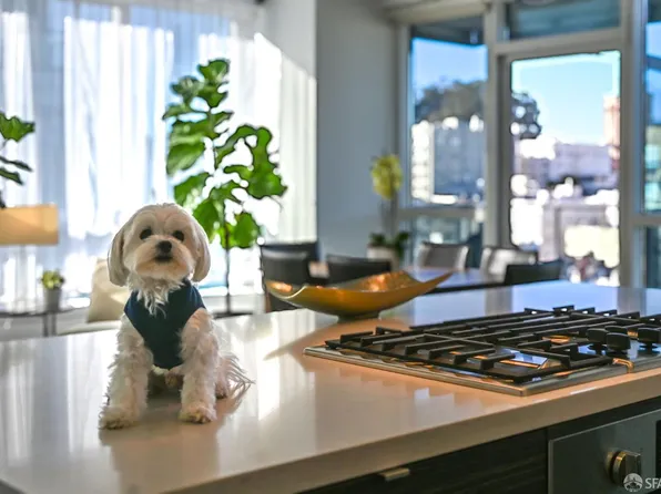 1688 Pine St #E1211, San Francisco, CA 94109