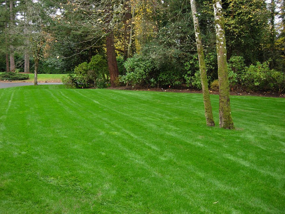 2nd image of 11911 Gravelly Lake Dr SW