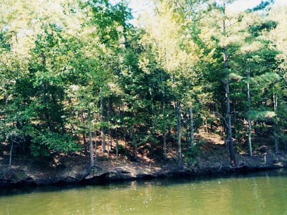 5th image of 2221a Horton Cove Road #Lot #4