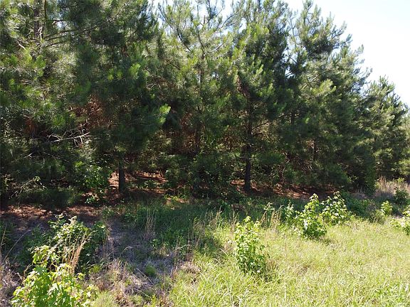 3rd image of 2 County Road 295