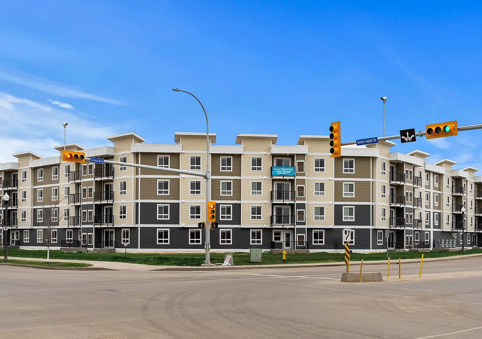 Terra Greens — Photo 4
