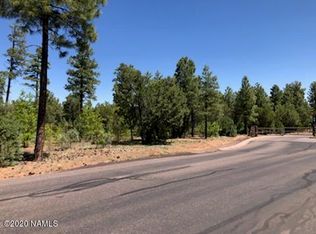 2880 W Falling Leaf Rd, Show Low, AZ 85901