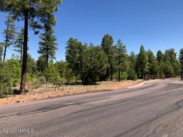 2880 W Falling Leaf Rd, Show Low, AZ 85901