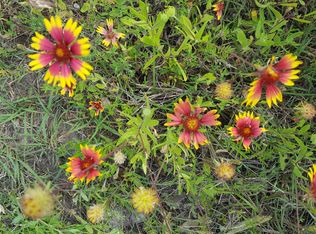 Lots 18c And 18d Cr #270, Mico, TX 78056