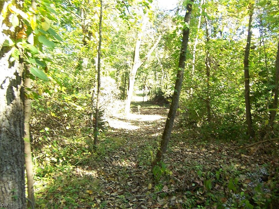 2nd image of Arlington Rd