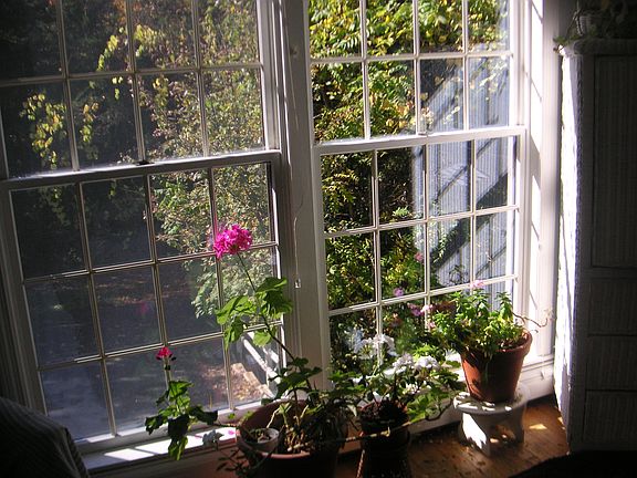 floor to ceiling windows in every room