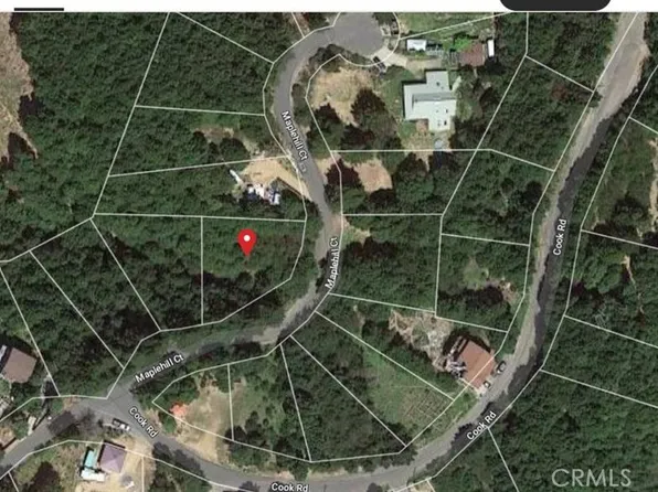 45 Maplehill Ct Lot 10, Whitethorn, CA 95589