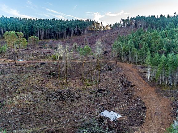 3rd image of 1240 Indian Creek Dr